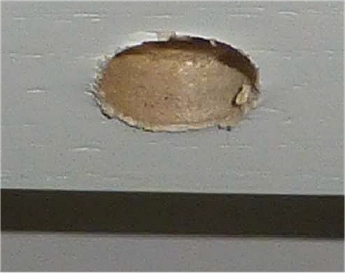 HolesunderCupboards HolesunderCupboards